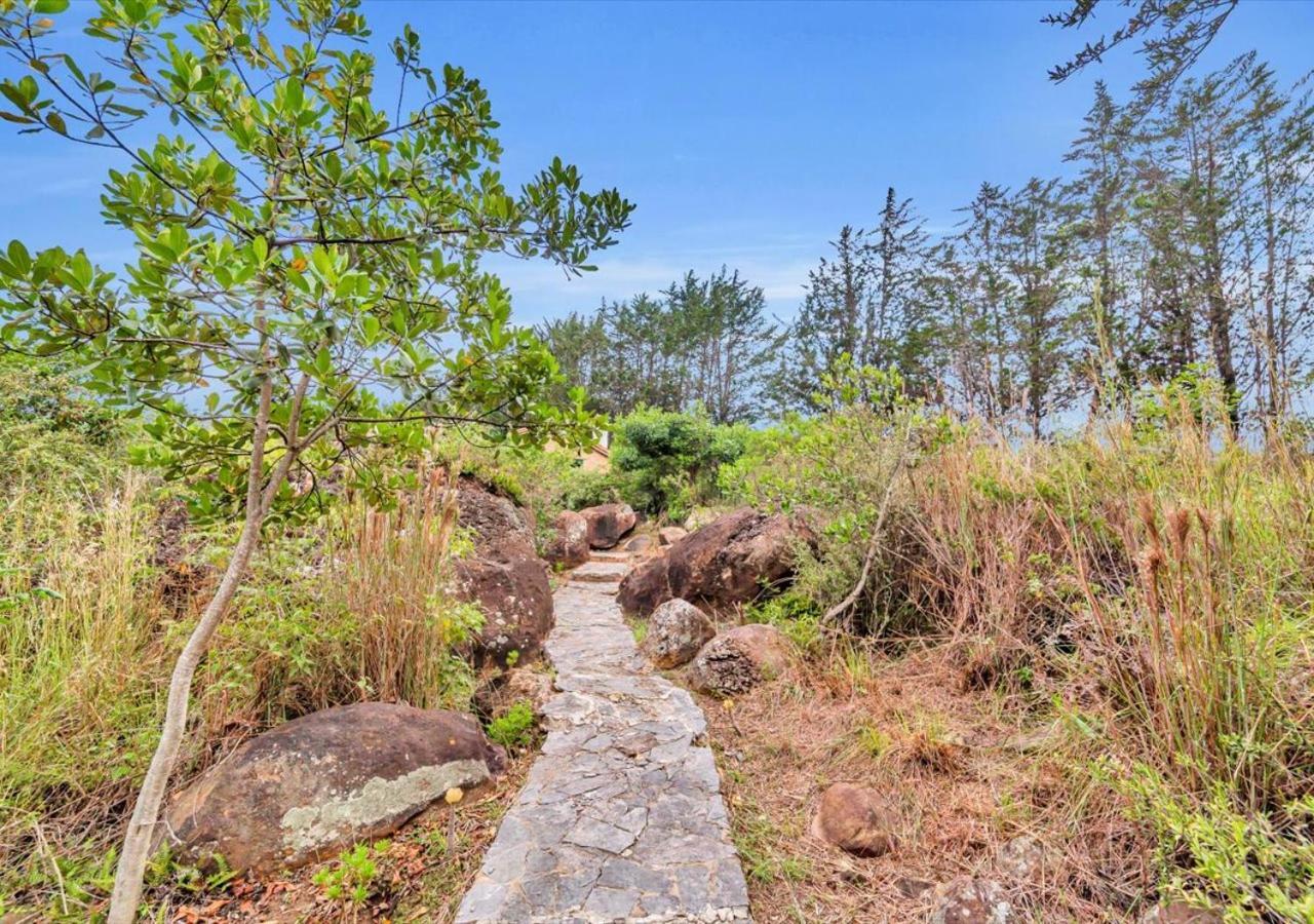 El Hayuelo Ecolodge 莱瓦镇 外观 照片