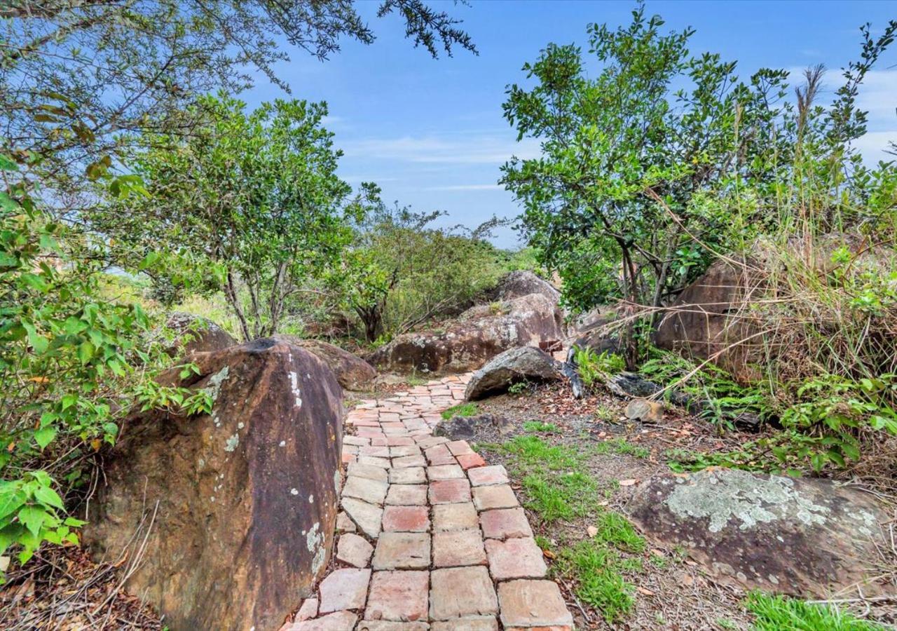 El Hayuelo Ecolodge 莱瓦镇 外观 照片