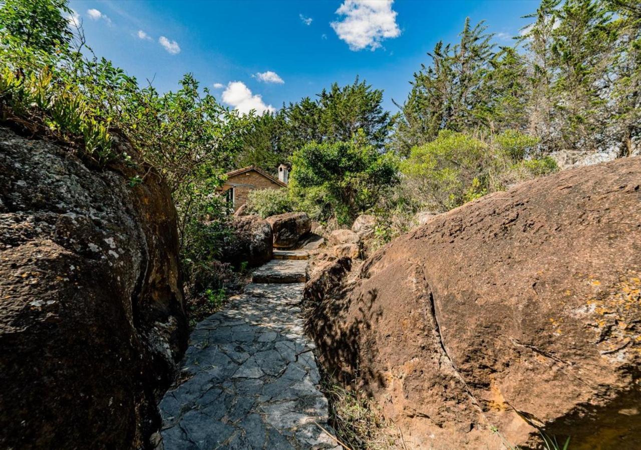 El Hayuelo Ecolodge 莱瓦镇 外观 照片