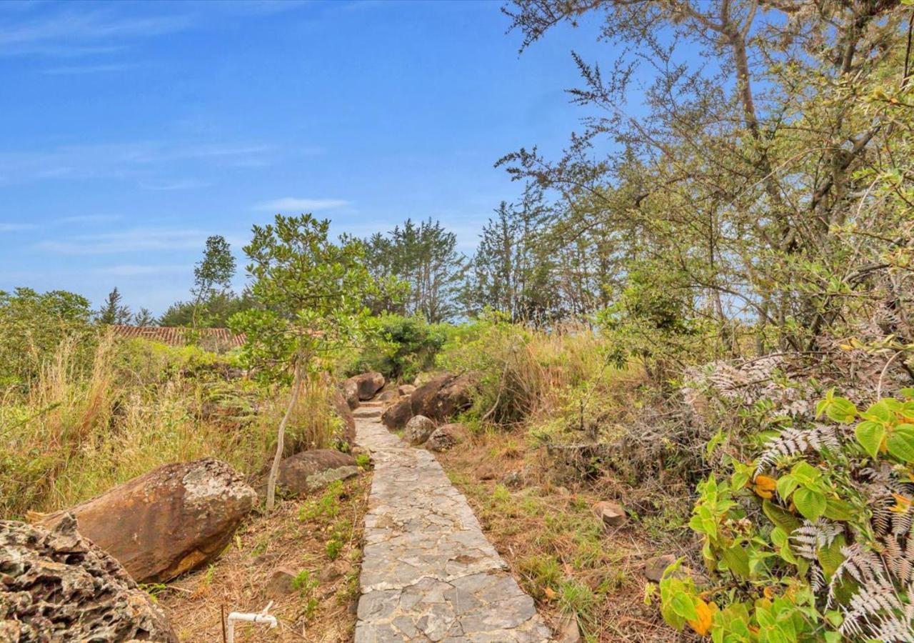 El Hayuelo Ecolodge 莱瓦镇 外观 照片