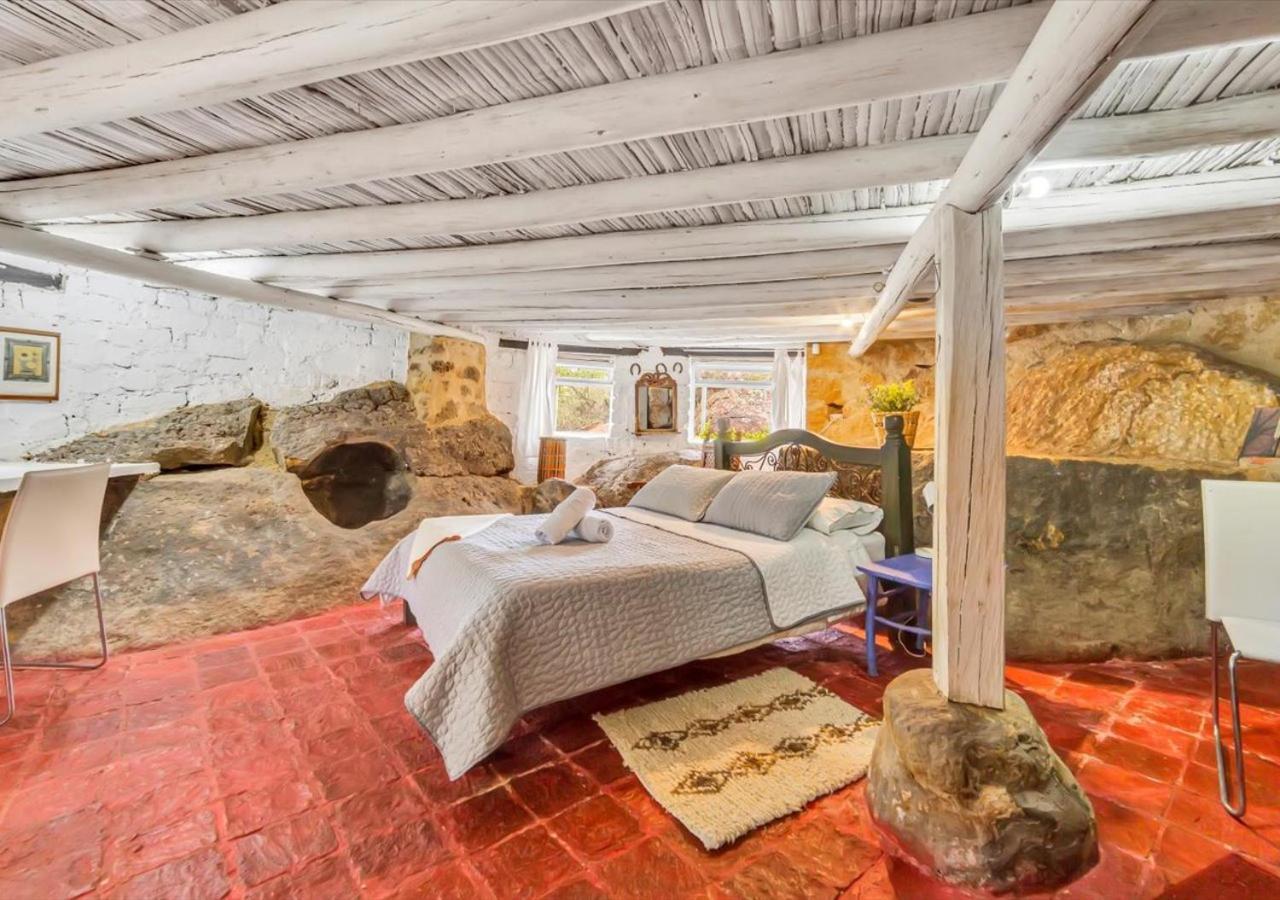 El Hayuelo Ecolodge 莱瓦镇 外观 照片