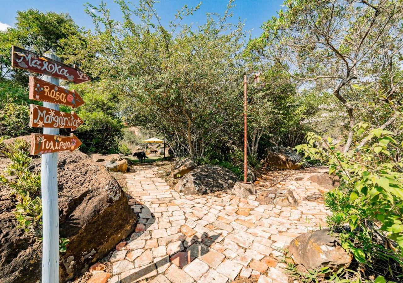 El Hayuelo Ecolodge 莱瓦镇 外观 照片