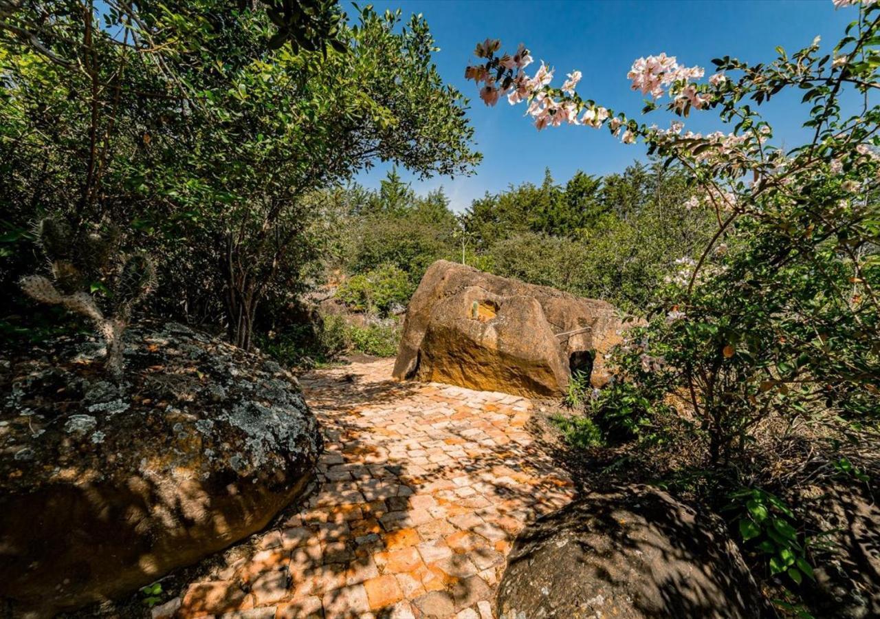 El Hayuelo Ecolodge 莱瓦镇 外观 照片