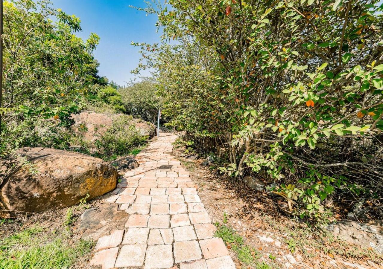 El Hayuelo Ecolodge 莱瓦镇 外观 照片