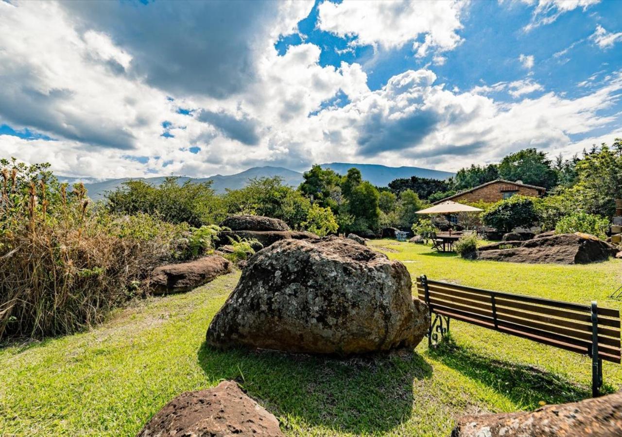 El Hayuelo Ecolodge 莱瓦镇 外观 照片