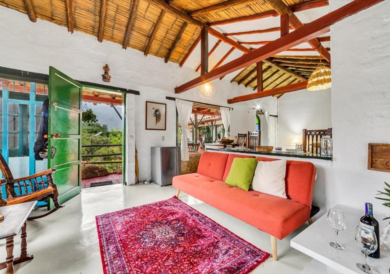 El Hayuelo Ecolodge 莱瓦镇 外观 照片